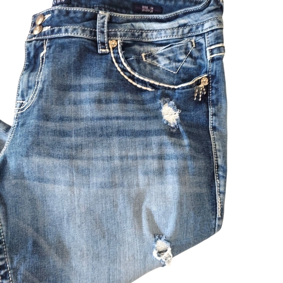 Vigoss Chelsea Skinny Distressed Jean - Picture 3 of 9